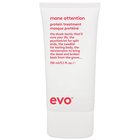 Evo Repair Mane Attention Protein Treatment - 150 ml