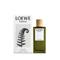 Loewe Esencia EDP 150 ml – kuva 3