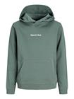Jack&Jones Junior Jornorrebro huppari