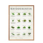 PFASIM-KRYDDERURT_223194533