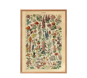 PFASIM-FLEURS_223194540