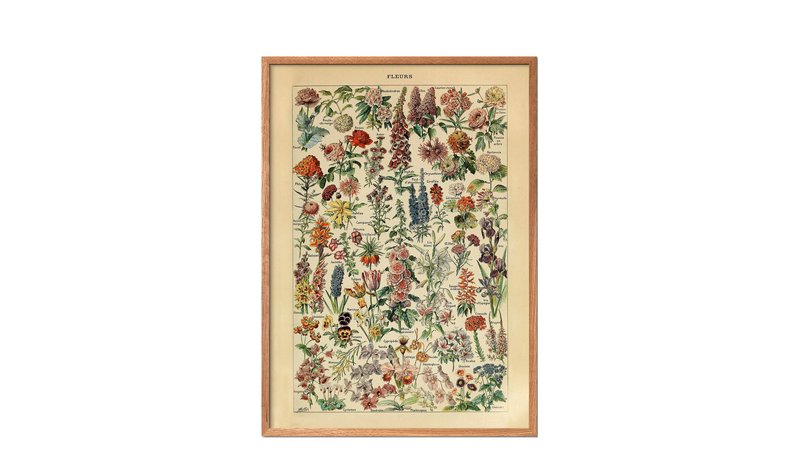 PFASIM-FLEURS_223194540
