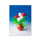 RMESUP-SPRINGCLEA_223204797