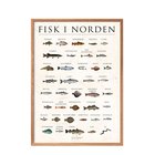 PFASIM-FISKINORDE2_223194518