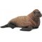 Collecta Sea Cub -hahmo – kuva 1