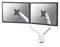 Neomounts DS70-250WH2 – kuva 5