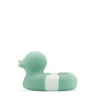 LICL-FLDUCK-UNIT_223299779