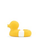 LICL-FLDUCK-UNIT_223299781