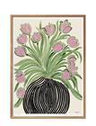 PFALA-TULIPS1_227630576