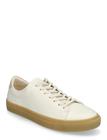 SSE1000660_229297887