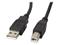 Lanberg - USB cable - USB to USB Type B - 1.8 m – kuva 4