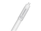 LEDVANCE LED-putki T5 Performance AC HE 849mm 1500lm 10W/840 (21W) 230V