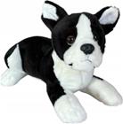 Dubi Boston Terrier koiran 28 cm pehmolelu
