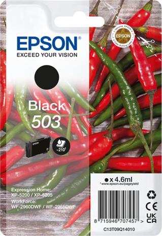 Epson Singlepack Black 503 Ink