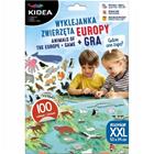 Eurooppalaiset eläimet pulmapeli ja peli: missä ne asuvat