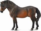 Baydatmoor laivaston ori poni - Collecta