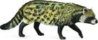 Civet Afrikkalainen Wiwera-kissa - Collecta