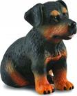 Rottweilerin koiranpentu - Collecta