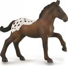 Sugarbush Draft varsa - Collecta