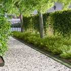 vidaXL Nurmireunus 10 kpl 100 x 10 x 8 cm Teräs Oliivinvihreä