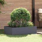vidaXL Nurmireunus 100 x 60 x 35 cm Teräs Antrasiitti