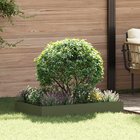 vidaXL Nurmireunus 100 x 60 x 20 cm Teräs Oliivinvihreä