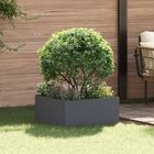 vidaXL Nurmireunus 60 x 60 x 35 cm Teräs Antrasiitti