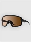 Smith Wildcat Matte Black +Bonus Lens Sunglasses chromapop phtchromic brn