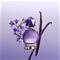 Viktor & Rolf Good Fortune - EdP 90 ml – kuva 5
