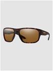 Smith Arvo Matte Tortoise Aurinkolasit chromapop polarized brown
