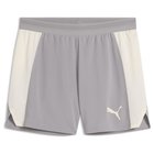 IndividualBLAZE Training Shorts Concrete Gray-Sugared Almond