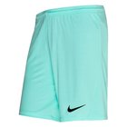 Nike Shortsit Dry Park III - Turkoosi/Musta Lapset, Lasten housut ja muut alaosat
