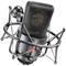 Neumann TLM 103 MT, mikrofoni – kuva 2