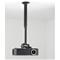 Chief KITEC045080B project mount Ceiling Black – kuva 3