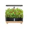 RainPoint Hydroponic Growing Kit – kuva 1