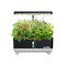 RainPoint Hydroponic Growing Kit – kuva 2