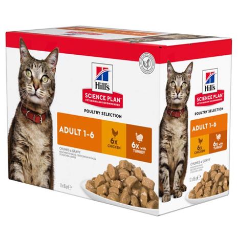 Hill's SCIENCE PLAN -märkäruoka aikuisille kissoille, kana & kalkkuna - 12x85 g