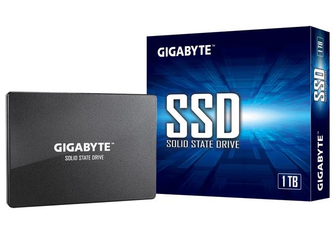 GIGABYTE GP-GSTFS31100TNTD