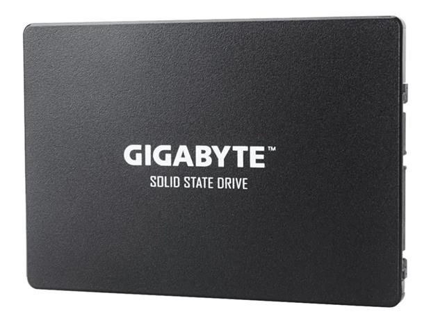 GIGABYTE GP-GSTFS31100TNTD