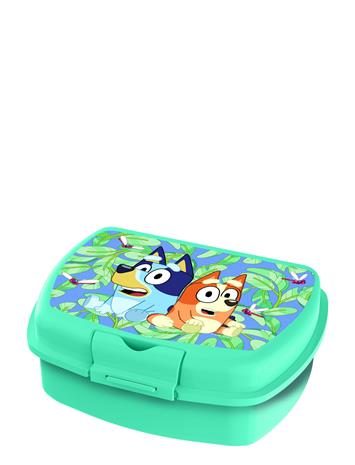 Bluey Eväsrasia, Turkoosi