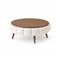 Coffee Table Homitis - – kuva 2