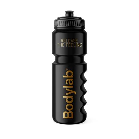 Water Bottle (750 ml)