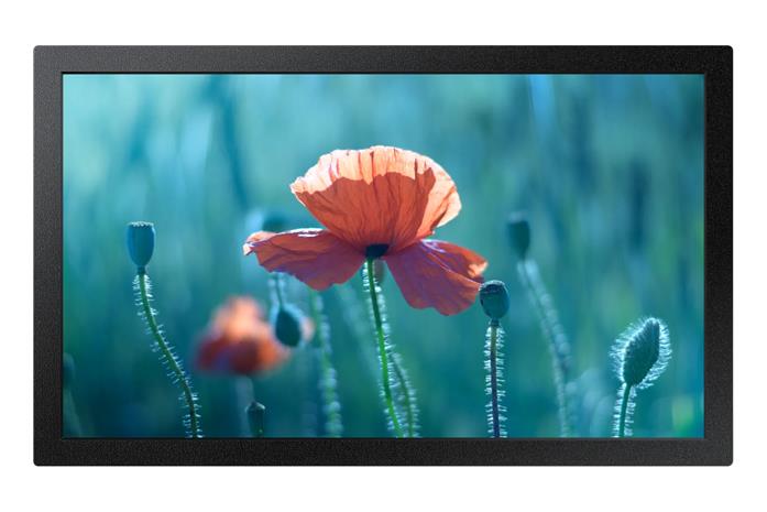 Samsung QB13C (13"), näyttö