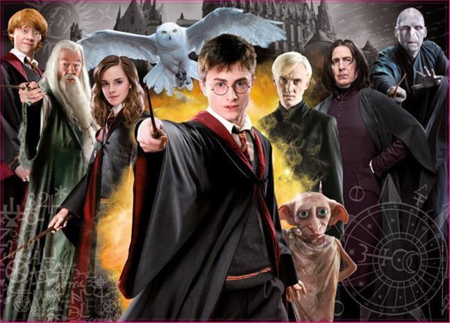 Educa? Harry Potter 1000p palapeli