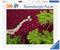 Structures of Nature Palapeli 500 palaa Ravensburger – kuva 6
