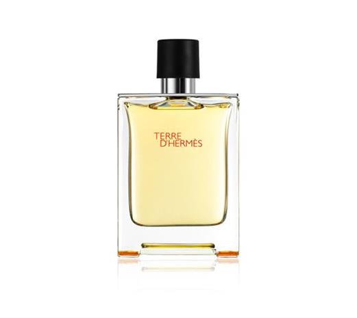 Hermes Terre d'Hermes - EdT 100 ml