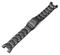 Tiera Casio GST -sarjan ranneke – kuva 2