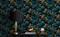 Zachary Blue - 1079701-01 Tapetti – kuva 3