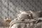 Imke Grey - 1087901-02 Tapetti – kuva 3