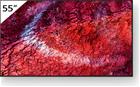 Sony FW-55BZ40P (55"), LED-televisio